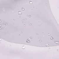 KJUS Dextra II 2.5 Regenjacke (white/alloy)