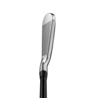 Titleist T250 Utility Eisen