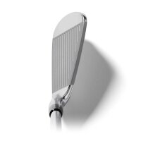 Mizuno Pro M-13 Eisen